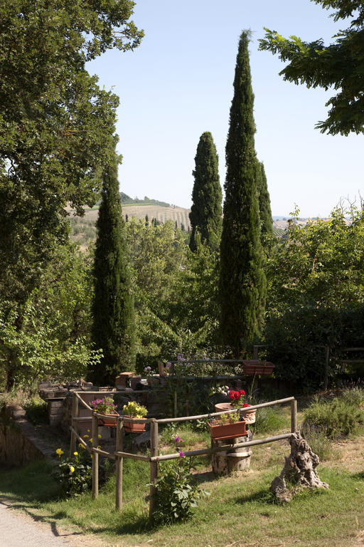 Agriturismo Podere Olivello In Val D'Orcia Монталчино Екстериор снимка