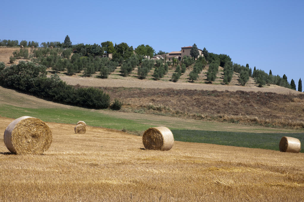 Agriturismo Podere Olivello In Val D'Orcia Монталчино Екстериор снимка